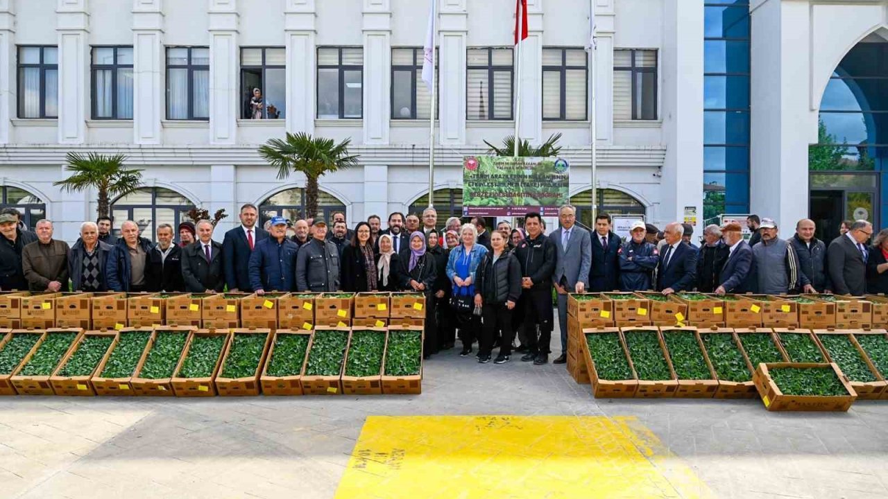 Yalova’da çiftçilere 375 bin adet sebze fidesi dağıtıldı