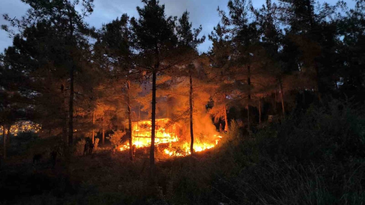 Barakadan yükselen alevler ormana sıçramadan