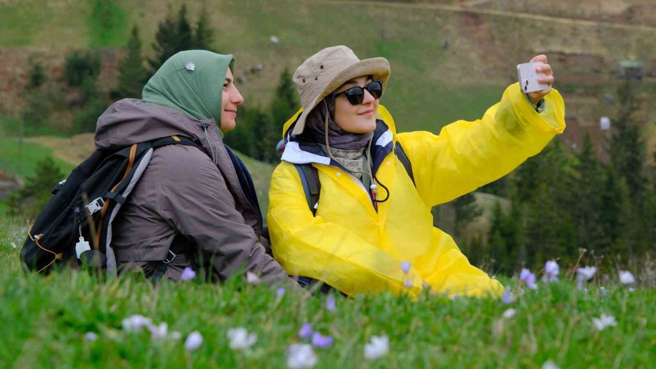 Gümüşhane’nin mor sümbül cenneti Damlı Köyü