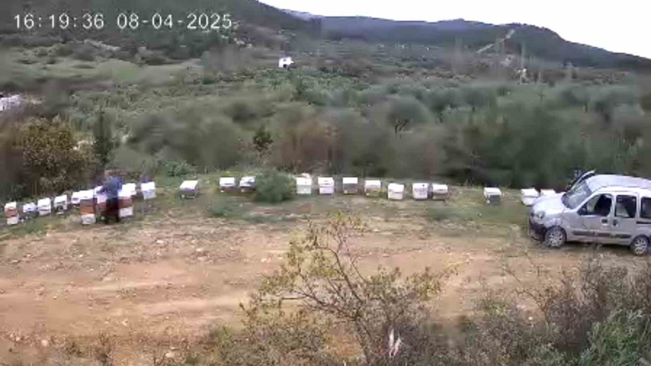 Kovan hırsızı güvenlik kamerasında