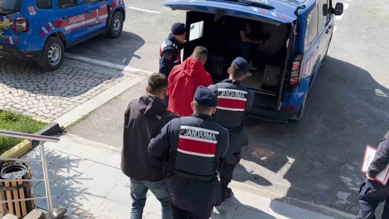 Aksaray’da küçükbaş hayvan hırsızlığına 1 tutuklama