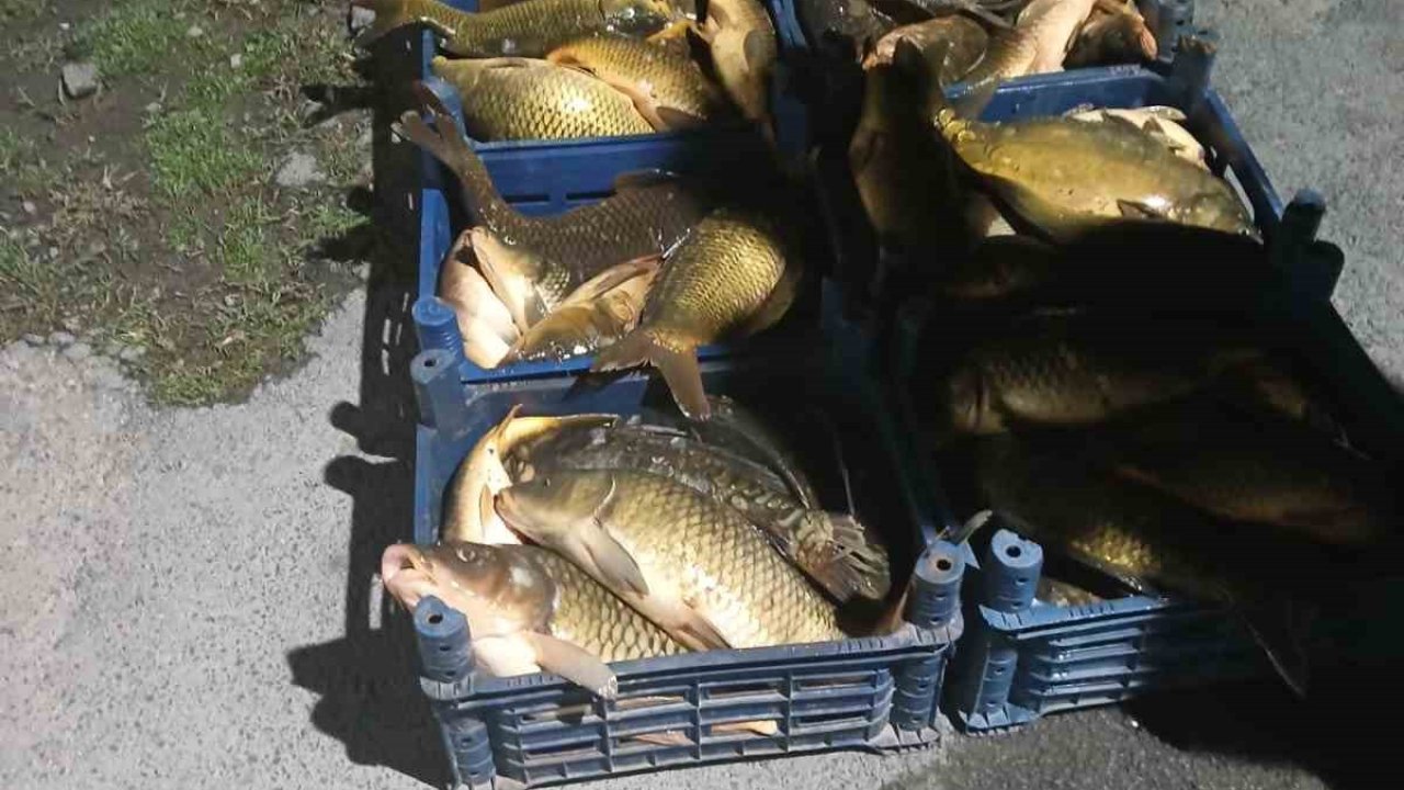 Elazığ’da kaçak avlanılan 210 kilo balık ele geçirildi