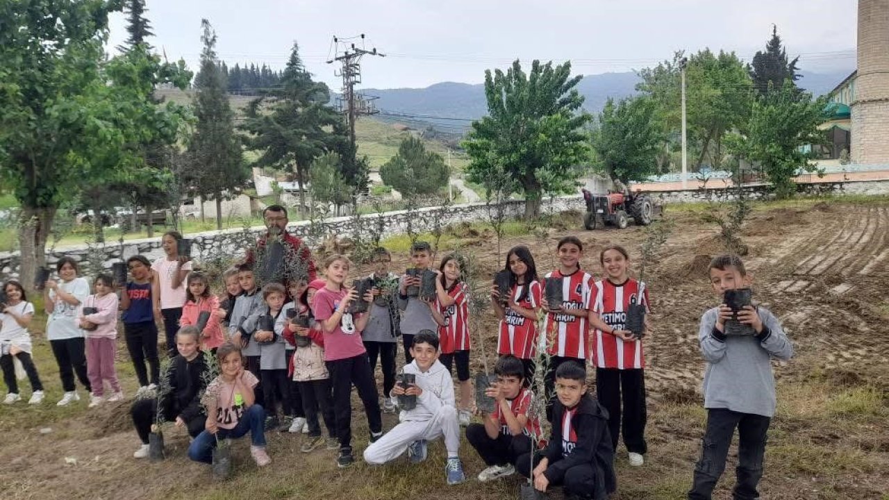 Minik eller okul bahçesine zeytin dikti