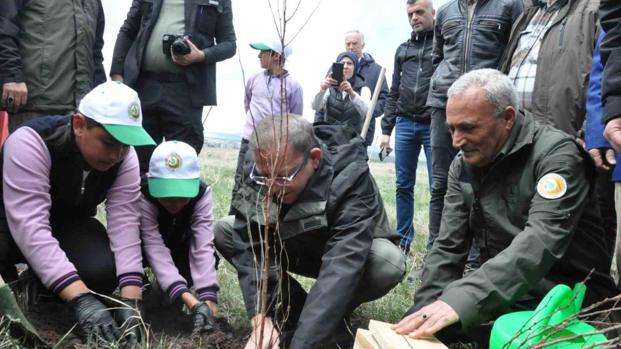 Kars’ta meyve ağaçları toprakla buluştu