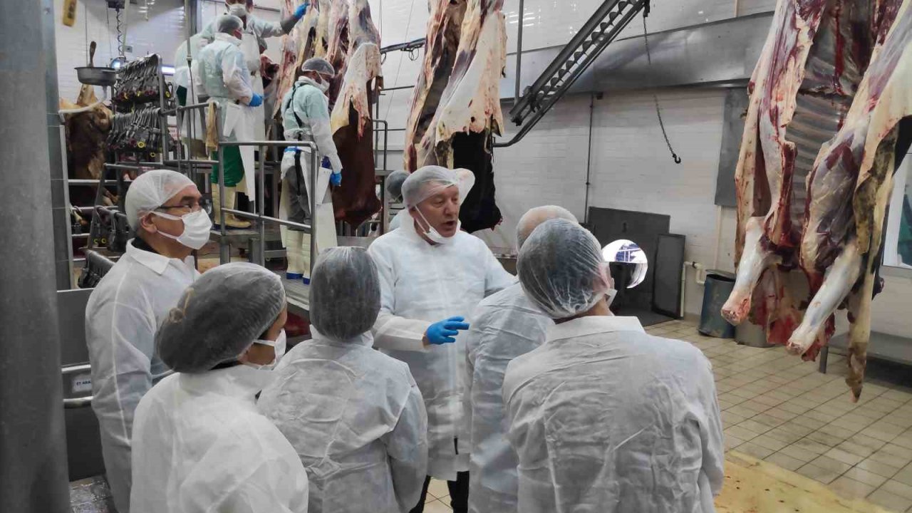 Denizli’de veteriner hekimlere yönelik eğitim düzenlendi