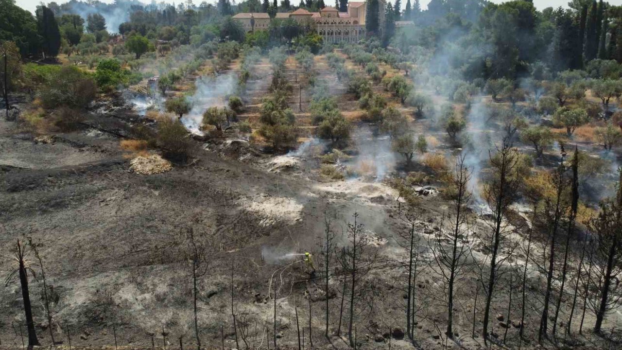 Kudüs’te devam eden yangınlar 5 bin dönümlük alanı küle çevirdi
