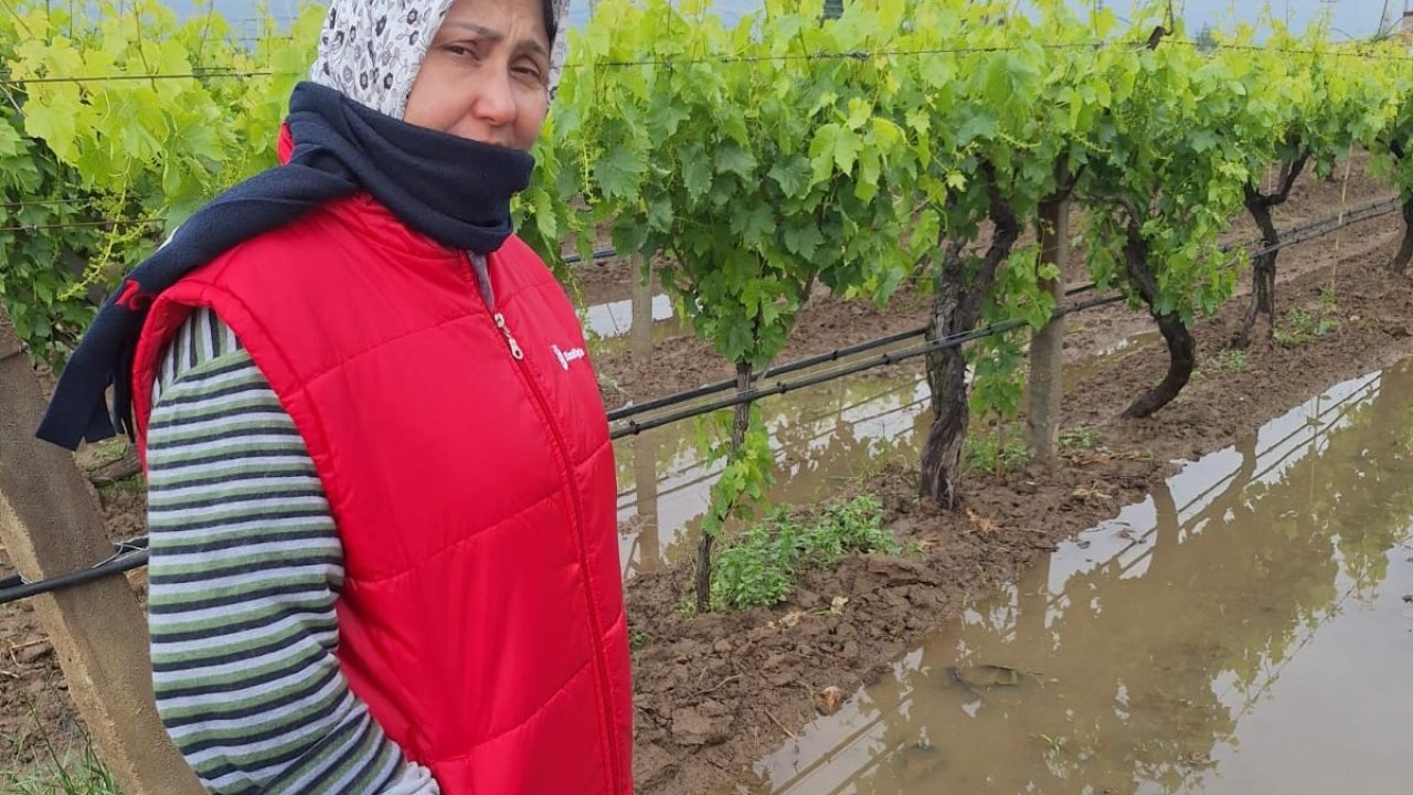 Bahar yağmurları üreticiyi sevindirdi