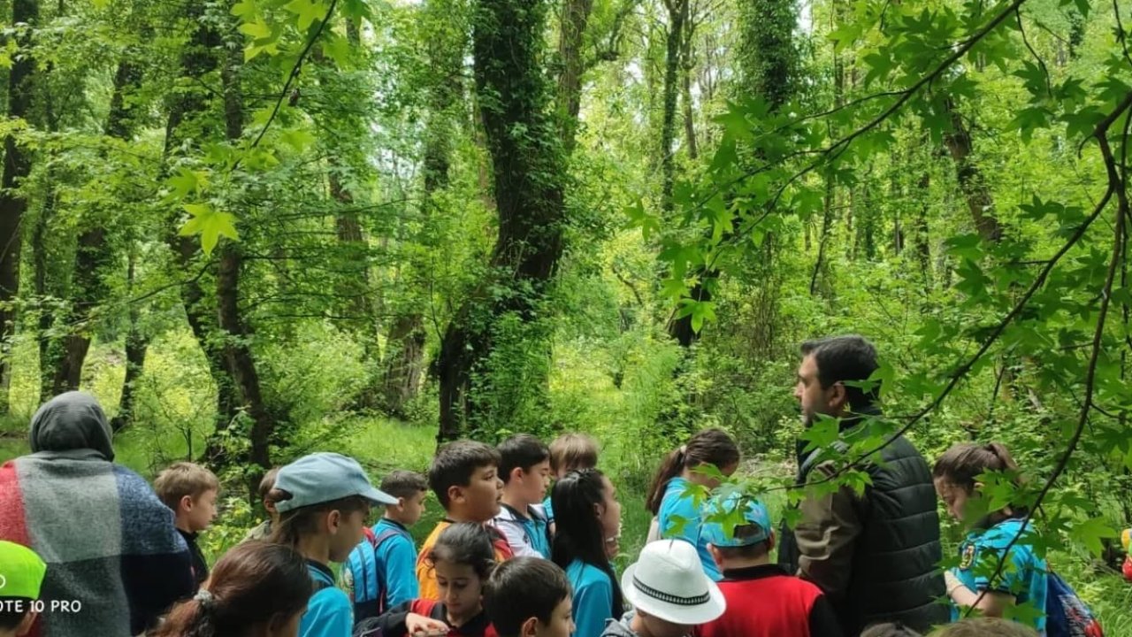 Köyceğiz’de öğrenciler Sığla ormanlarında inceleme yaptı