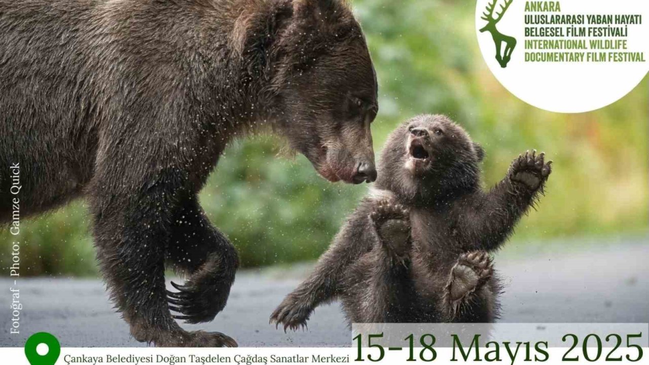 Ankara Uluslararası Yaban Hayatı Belgesel Film Festivali Ankara’da gerçekleşecek