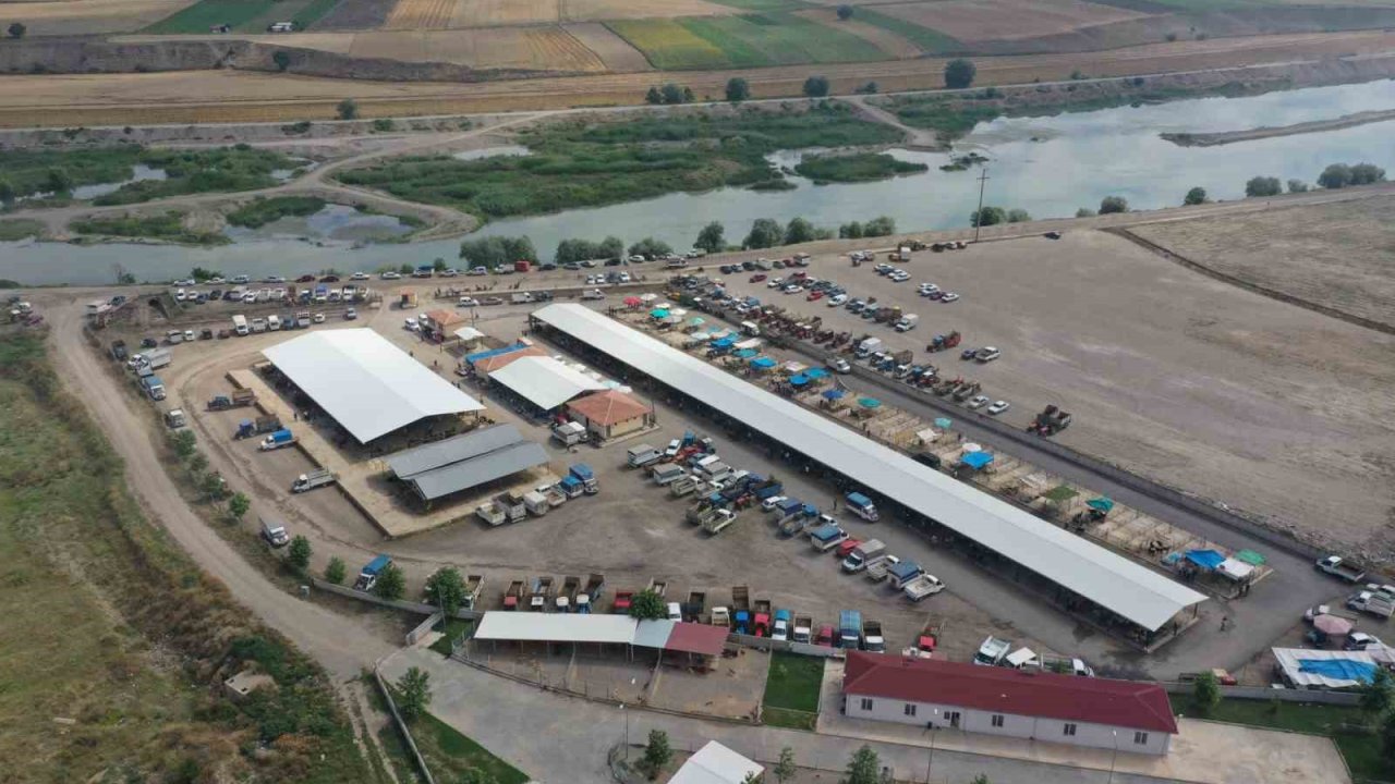 Erbaa hayvan pazarı 5 Mayıs’ta yeniden açılıyor