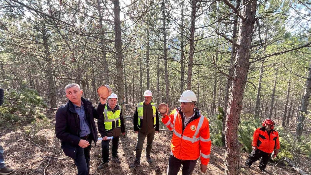 Emet Orman İşletme Müdürlüğü’nde silvikültür ve işletme pazarlama eğitimi