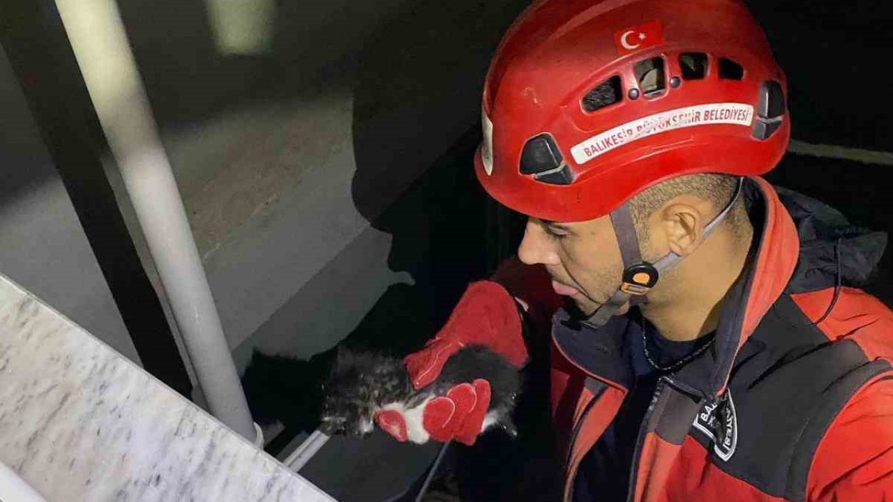 Apartman boşluğuna düşen yavru kedi itfaiye ekiplerince kurtarıldı