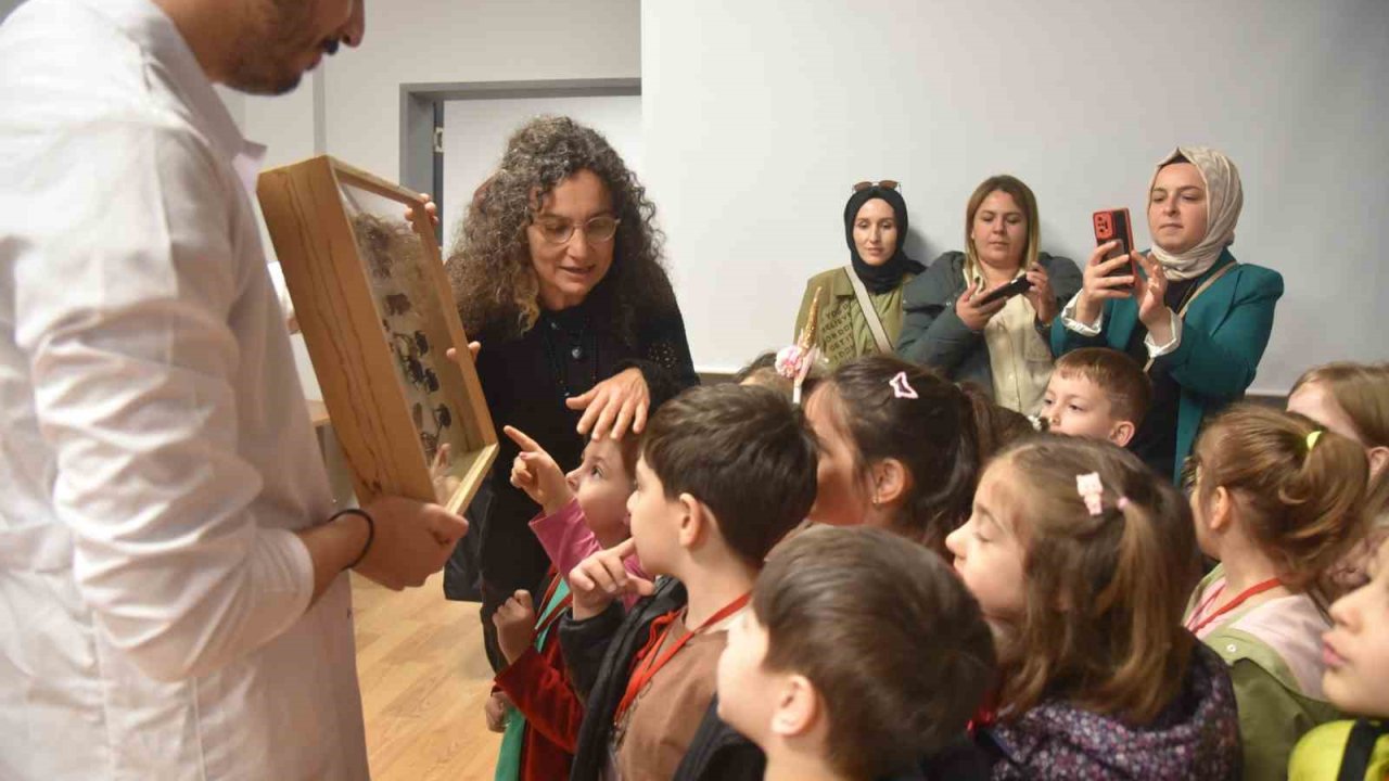 Minik öğrenciler böcekleri dikkatle inceledi