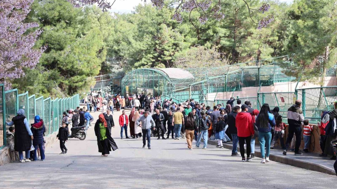 Yırtıcı Adası ile Gaziantep Doğal Yaşam Parkı’nın ziyaretçi sayısı artırılacak