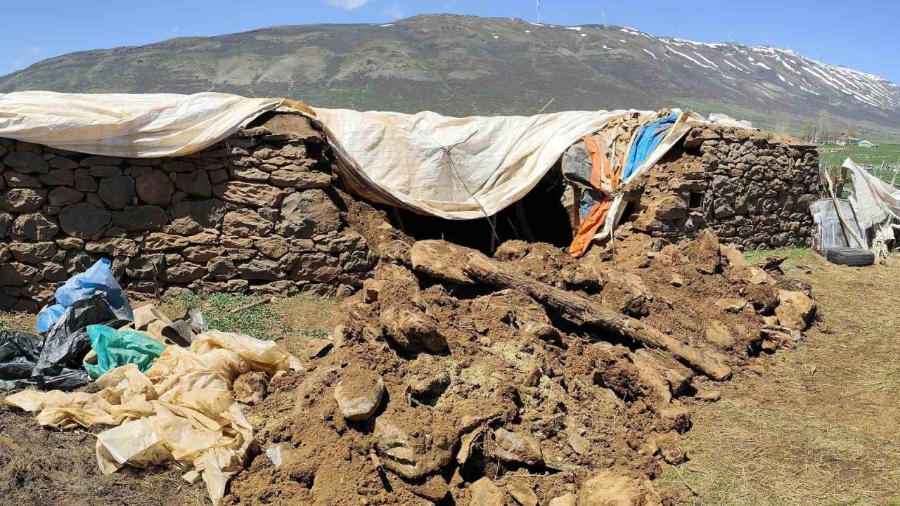 Bingöl’de fırtına ve sağanak nedeniyle ahır çöktü