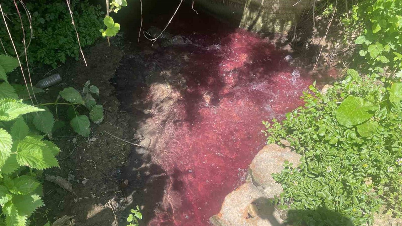 Turşu sulu renkli dereye çiftçiler de uzmanlar da tepkili