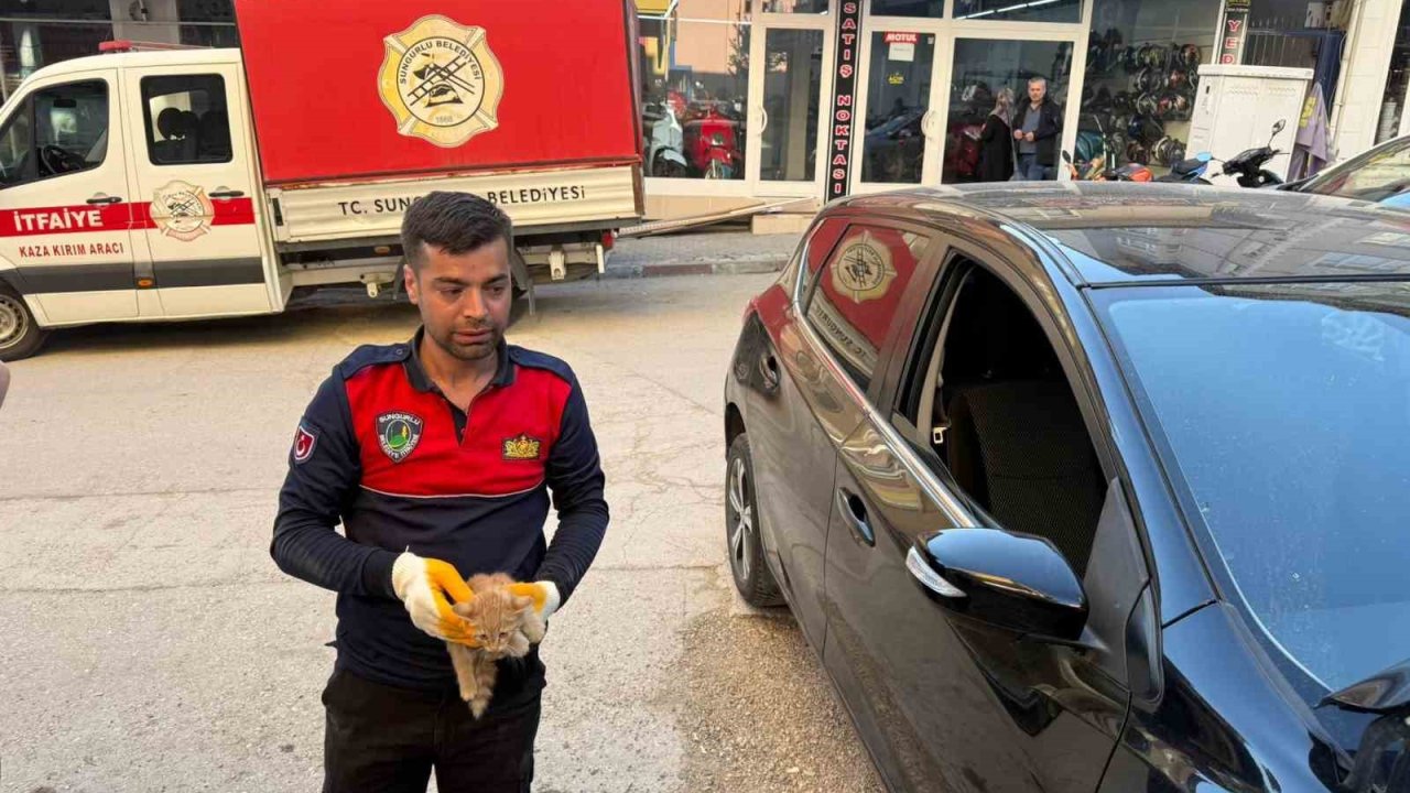 Otomobilin motor kısmına giren yavru kediyi itfaiye kurtardı