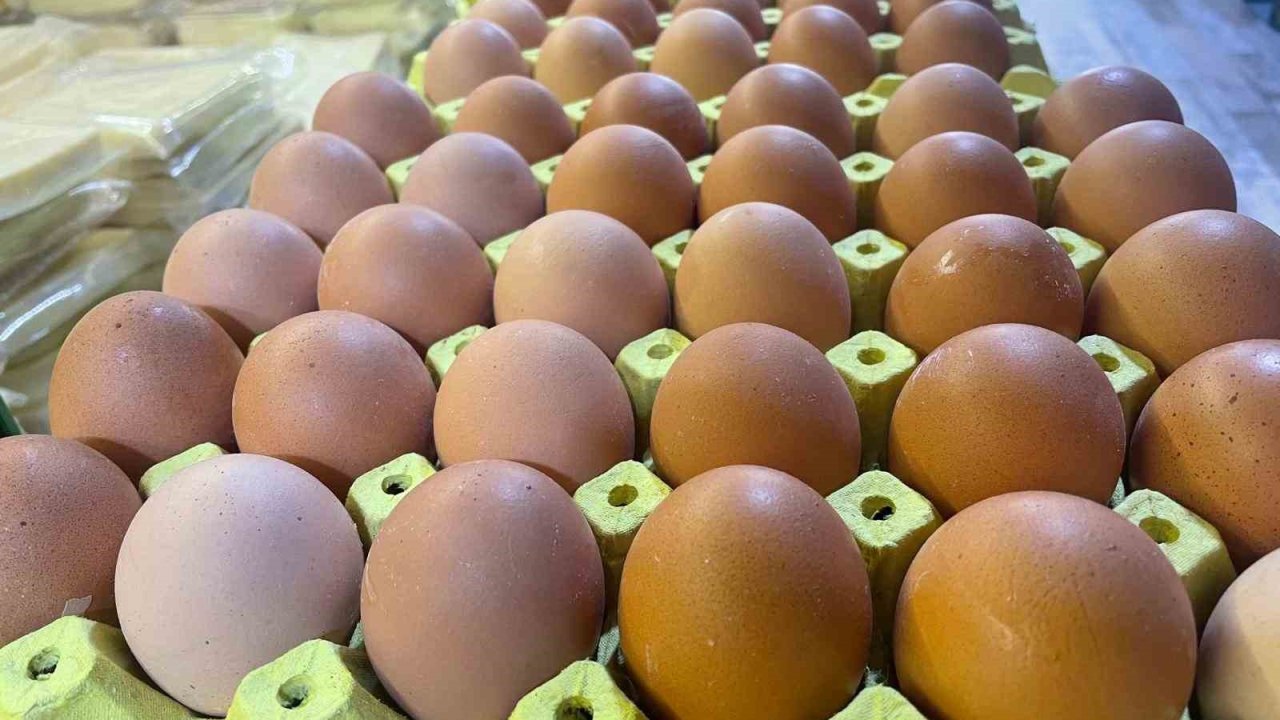 Yumurta kabuğu deyip geçmeyin sanayide çok değerli