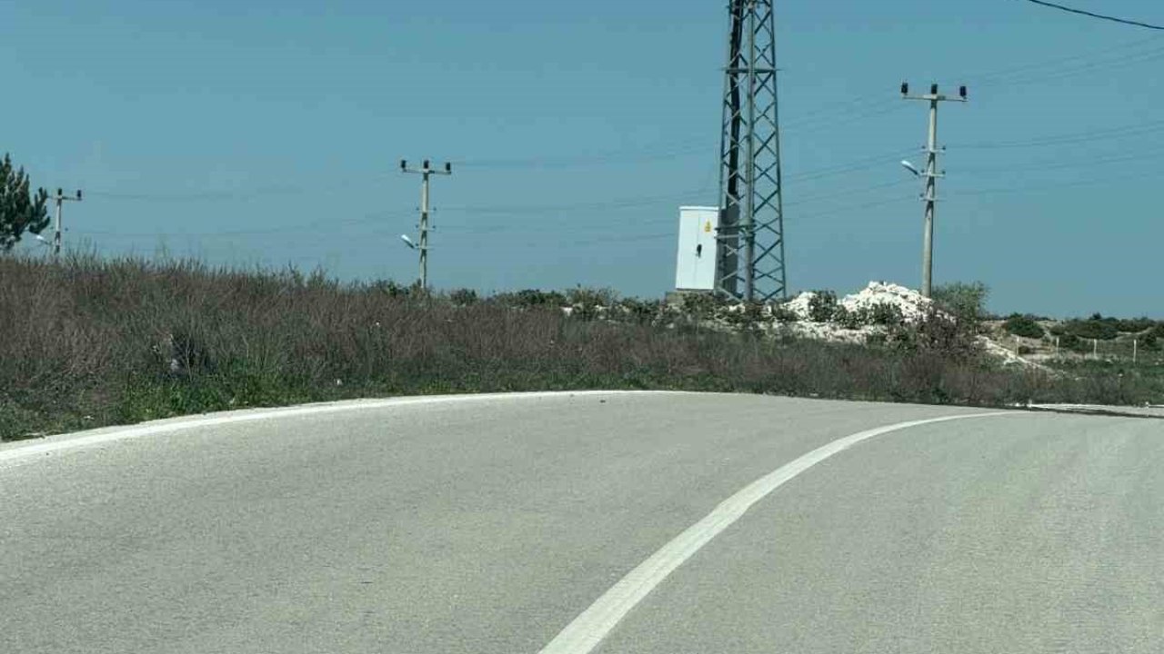 Kaplumbağalara karşı sürücüler uyarıldı