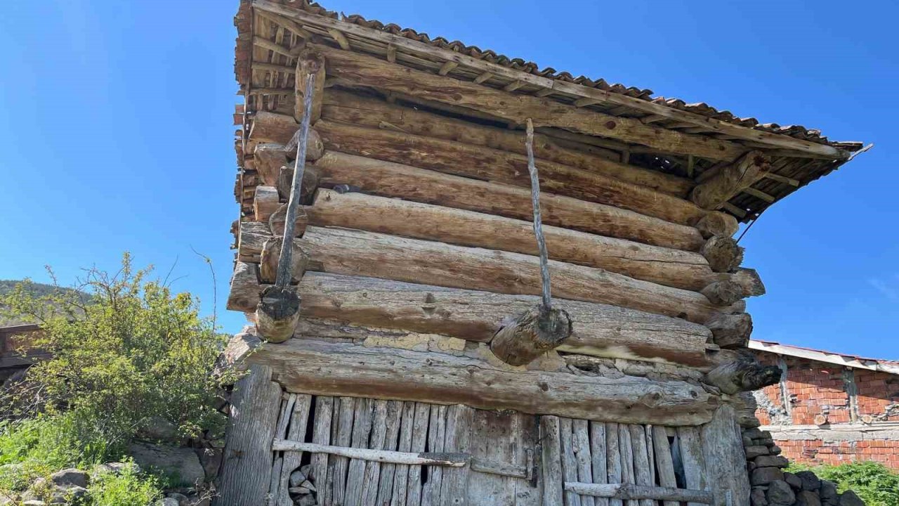 Çivisiz ahşap ambarlar zamana direniyor