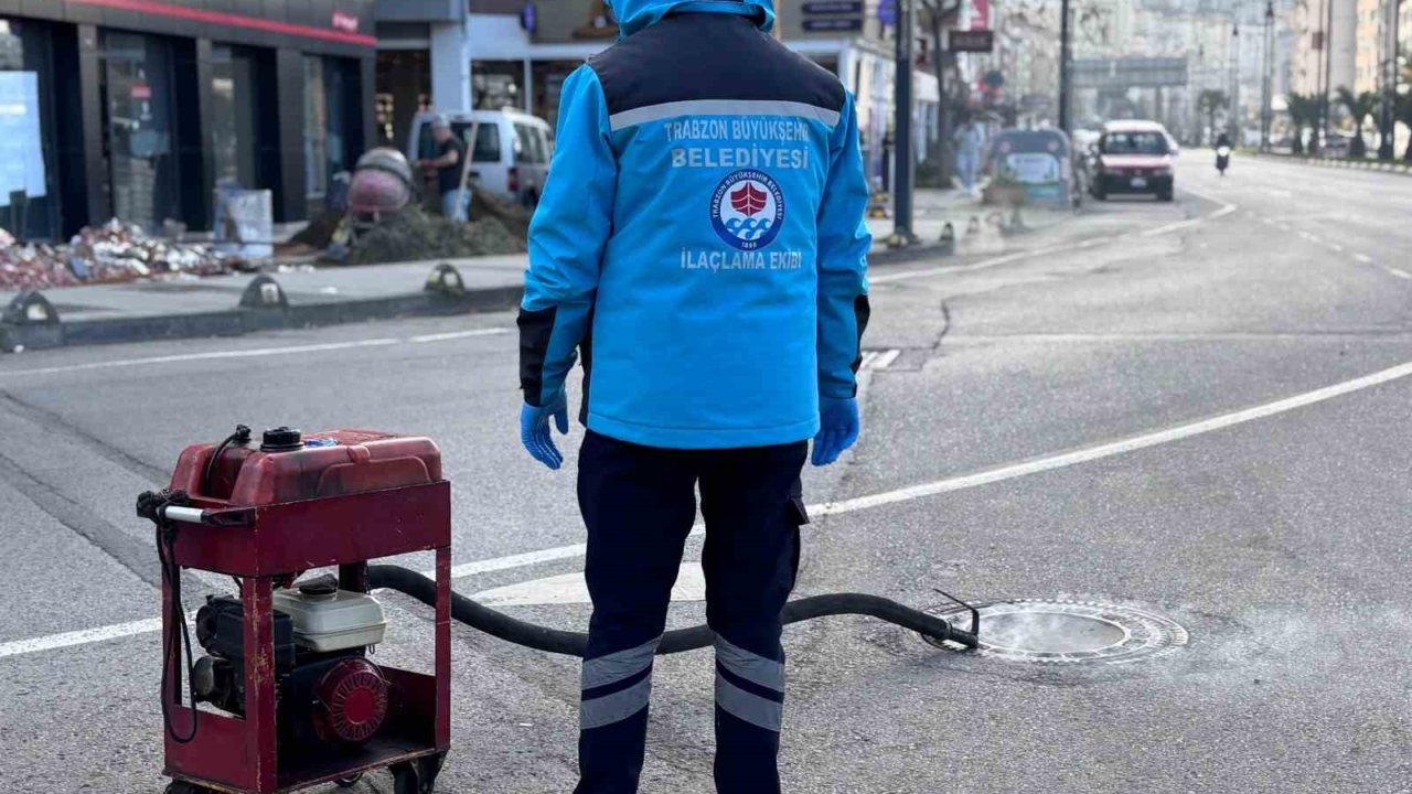 Trabzon’da sıcaklar başlamadan vektörle mücadele başladı