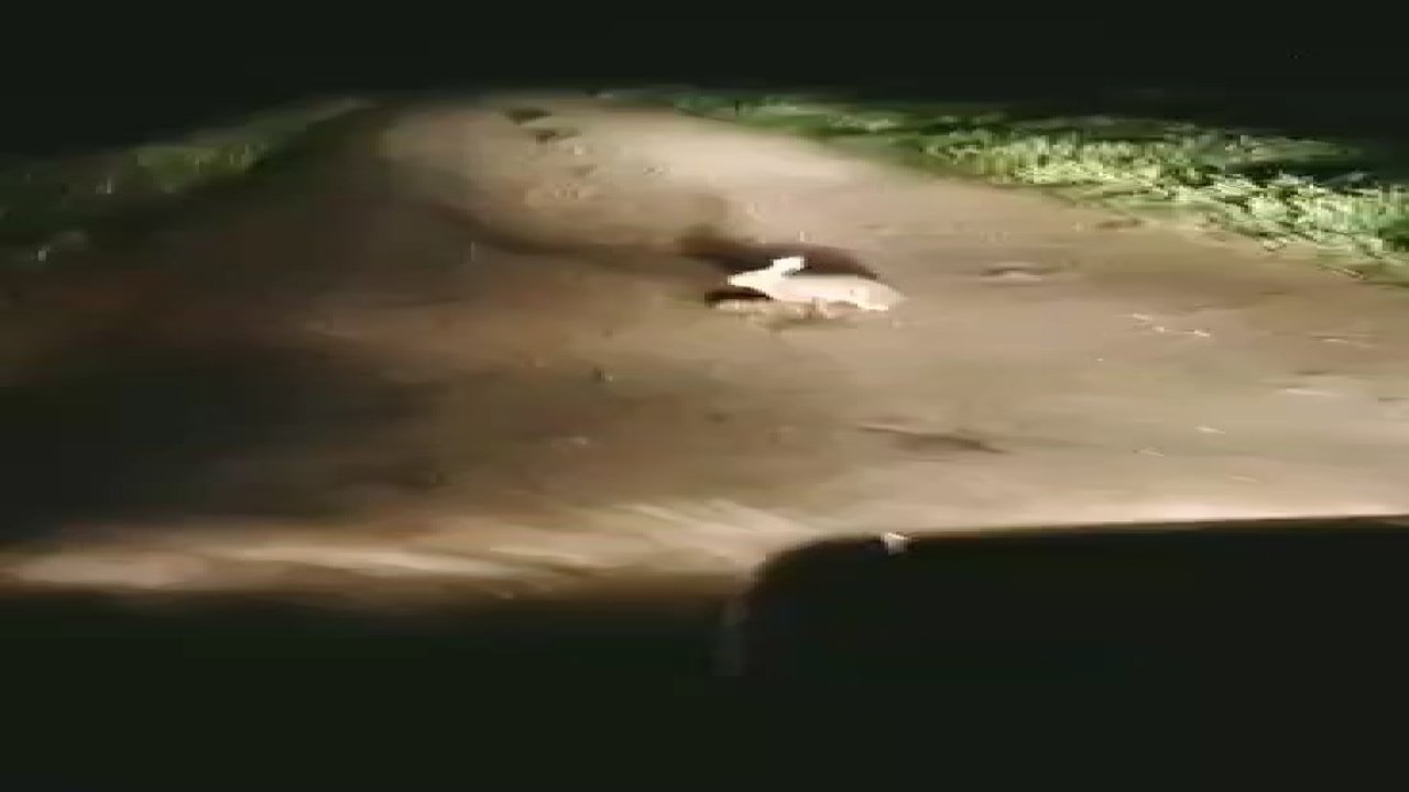 Korkmadı, kaçmadı... "Ana yüreği korku tanımaz"