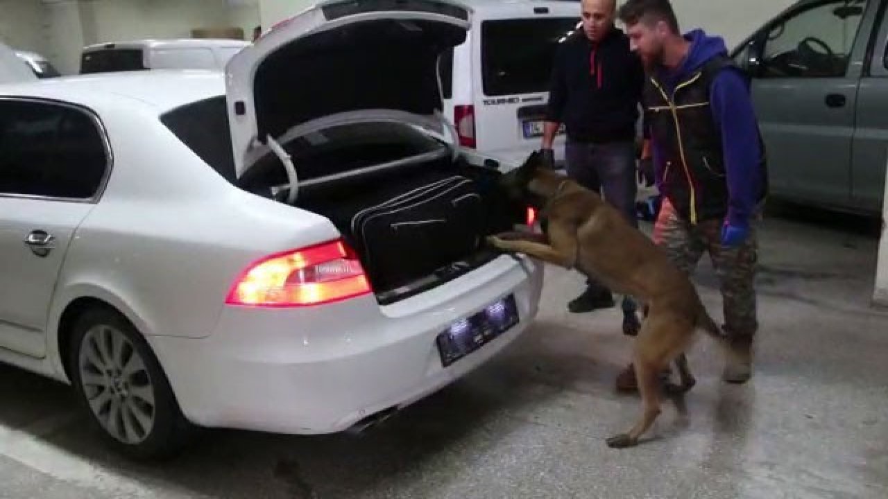 Bolu’da kaçakçılık operasyonunda 4 gözaltı