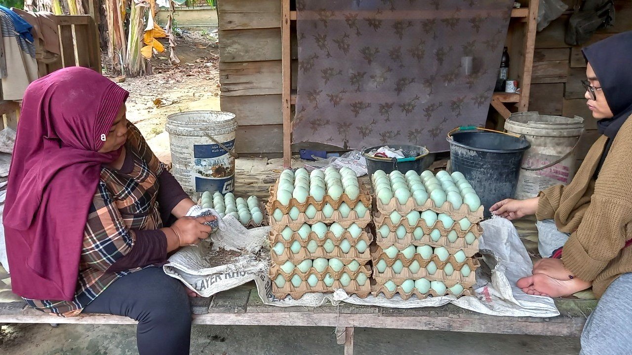 TİKA, Endonezya’da kırsal kalkınmayı destekliyor