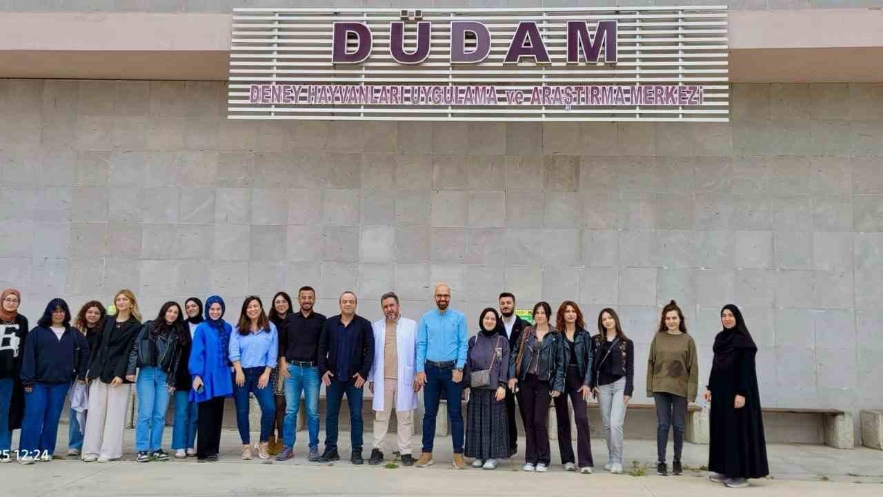 Deneysel çalışmalara kazandırıldı