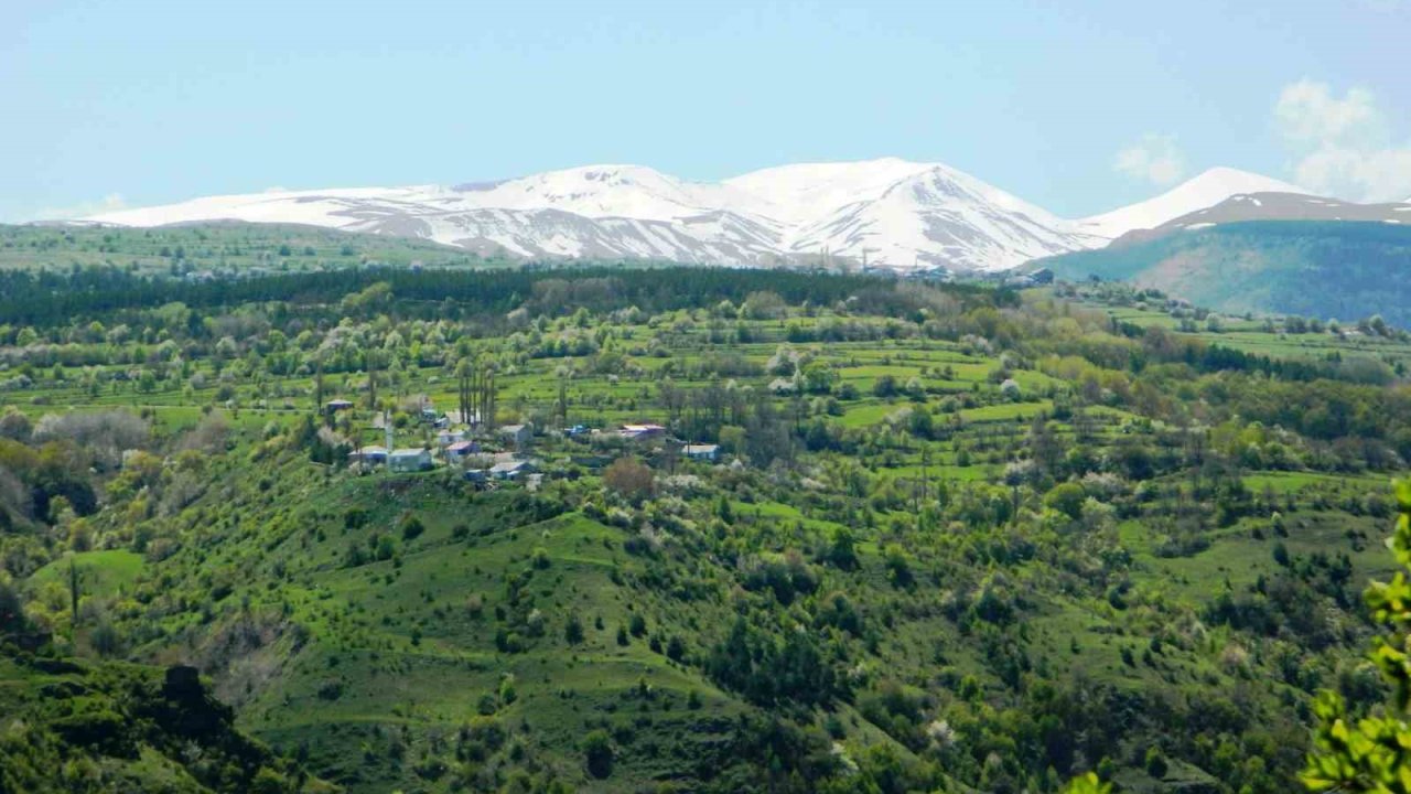 Posof’ta baharla gelen güzellikler