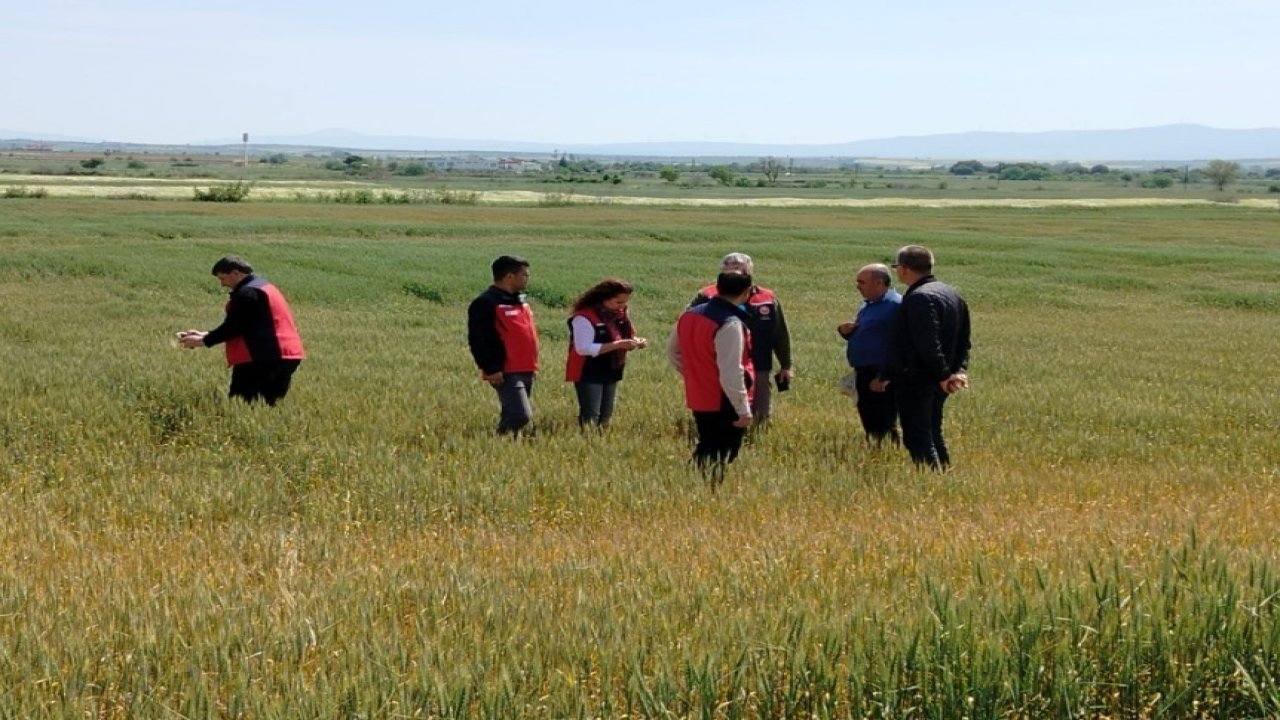 Çanakkale’de üreticilerin ekili dikili alanlarında saha incelemesi yapıldı