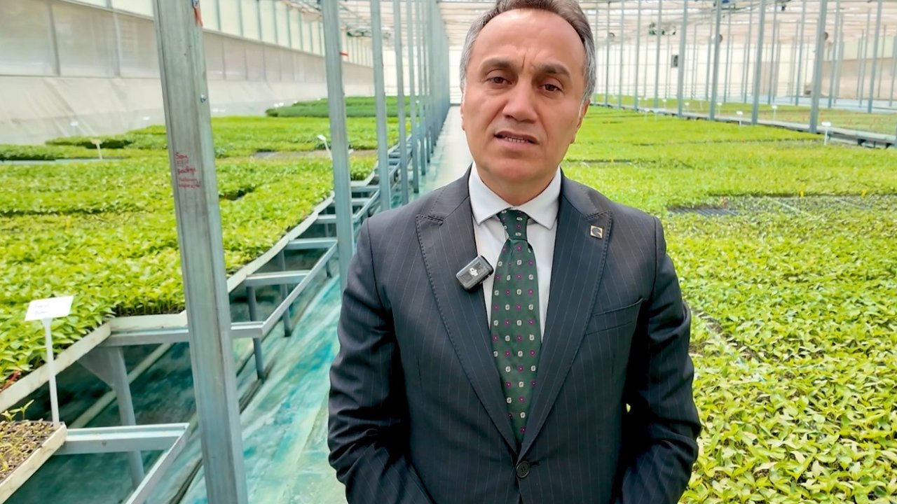 TOGÜ 1 milyon fideyi üreticiyle buluşturacak