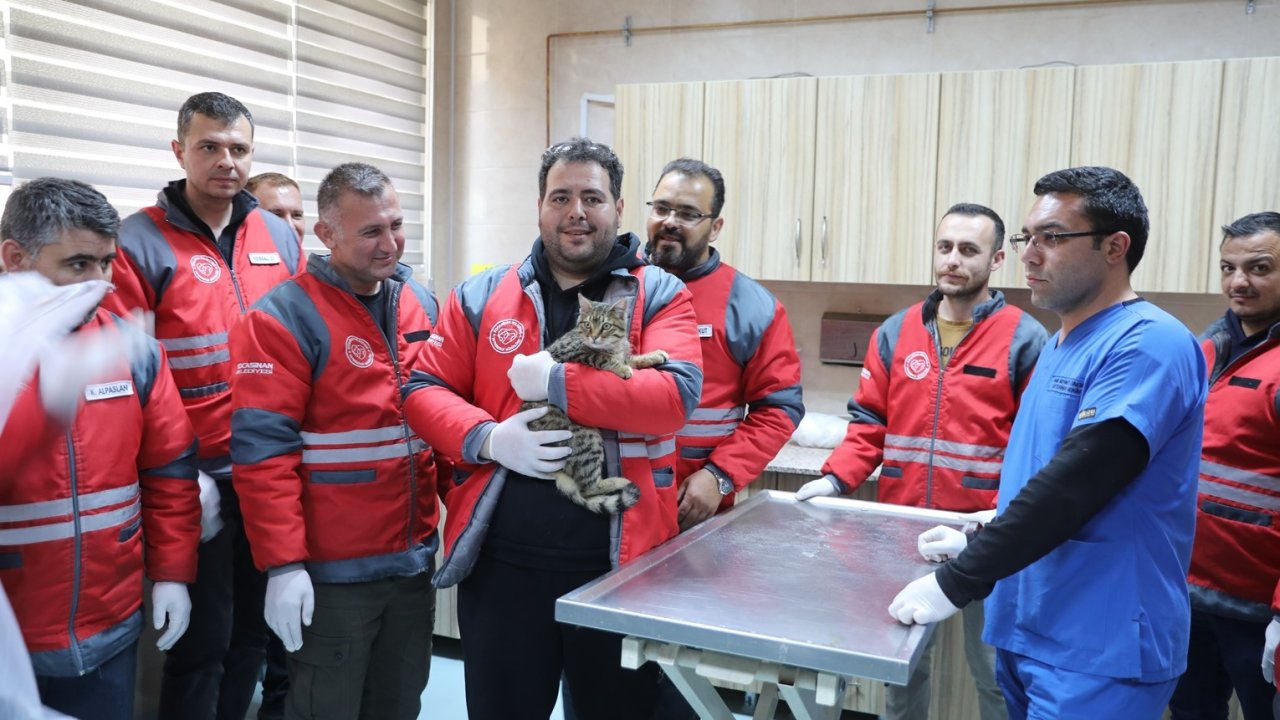 Kocasinan Belediyesi’nden veterinerlik personeline sertifikalı eğitim