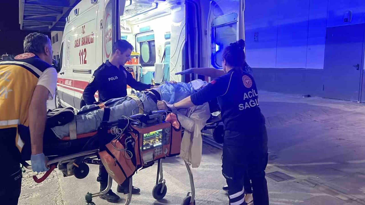 Ağaca çarpan otomobilin sürücüsü ağır yaralandı