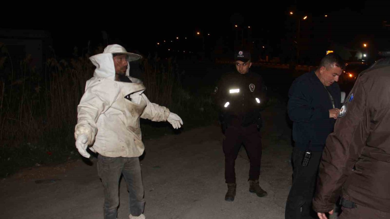 Arı kovanı yüklü kamyonet devrildi, olanlar oldu