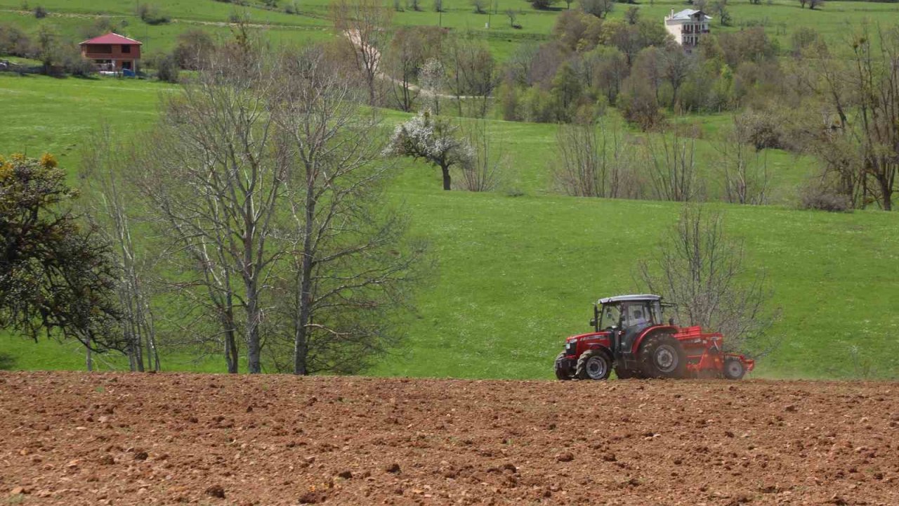 Ordu’nun atıl arazileri bereketleniyor: 34 bin 800 dekar atıl arazi tarıma kazandırıldı