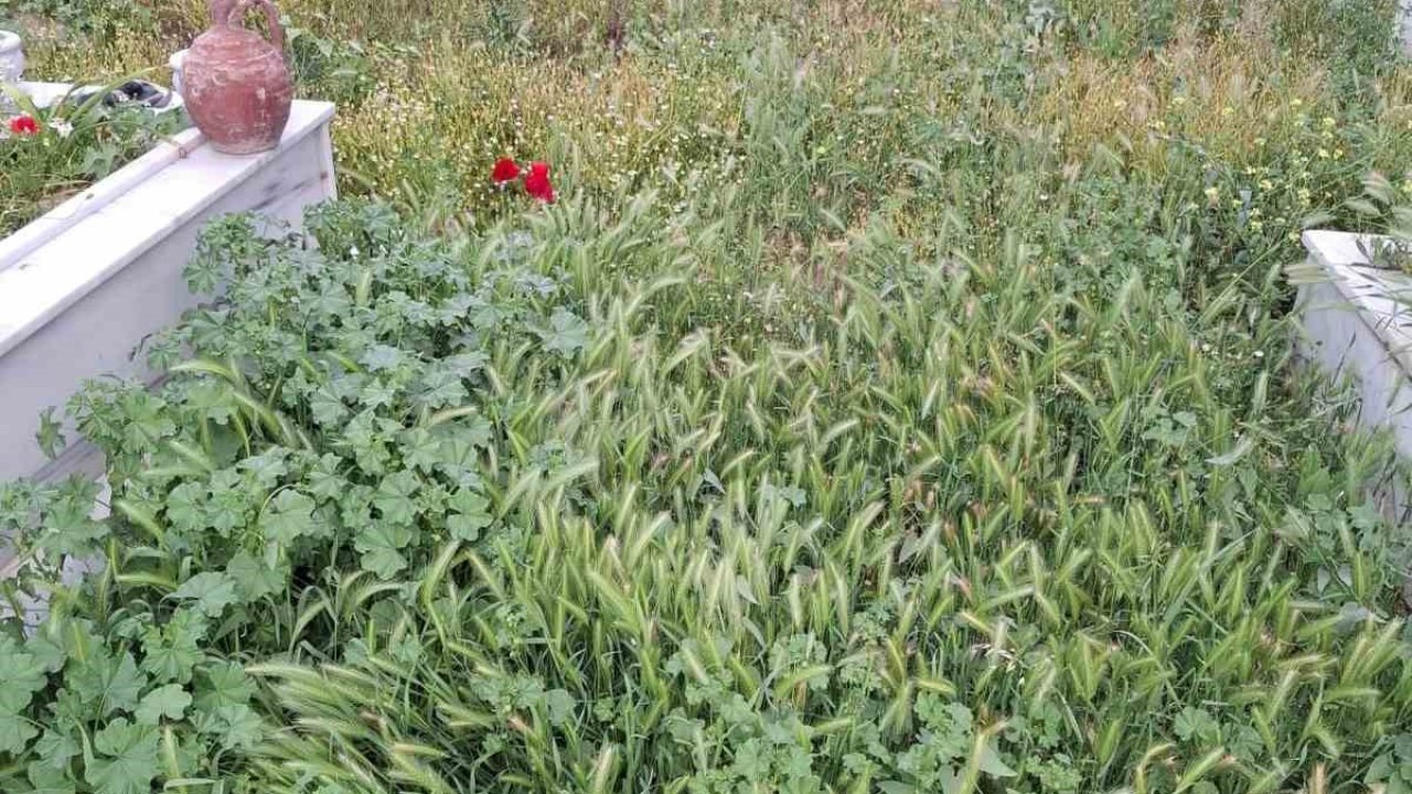 Mezarlıklar bayram öncesi sahipsiz kaldı