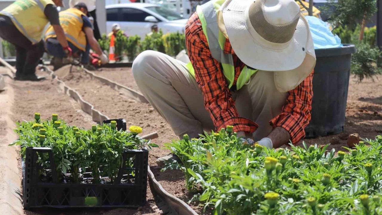 Seralarda yetiştirilen çiçekler Şanlıurfa’yı güzelleştirecek