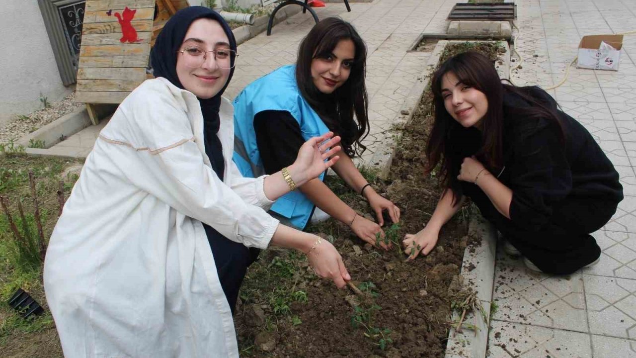 Öğrencilere hobi bahçesi kuruldu