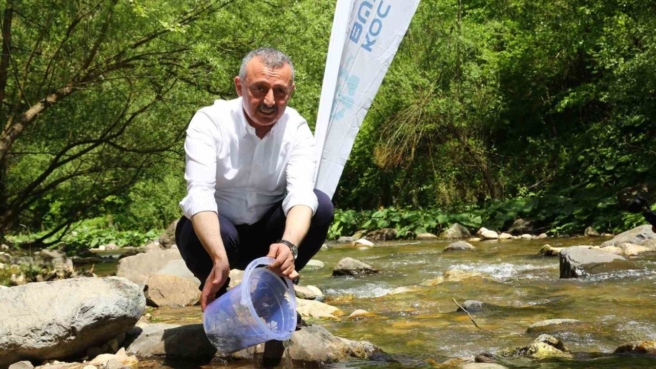 Kirazdere’ye 8 bin alabalık bırakıldı