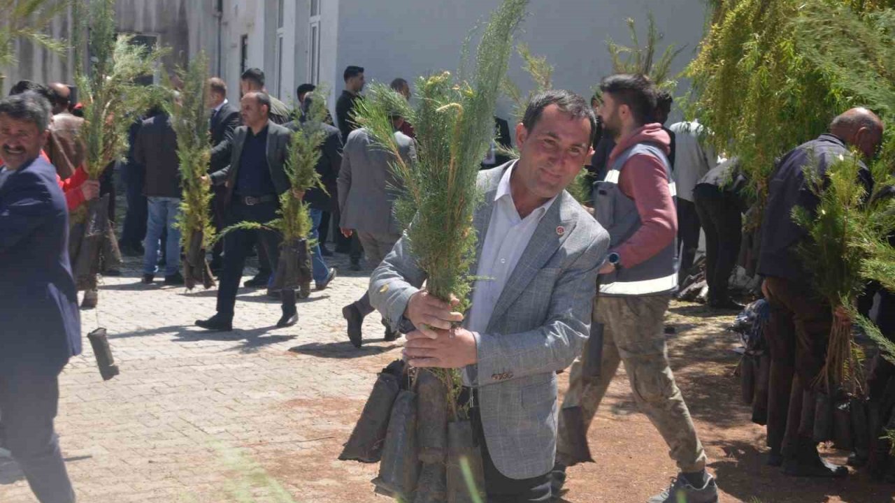 Bulanık’ta 5 bin çam fidanı dağıtıldı