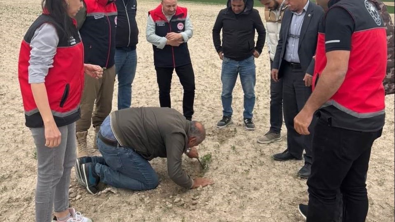 Kulu’da tarım alanlarında kontroller devam ediyor