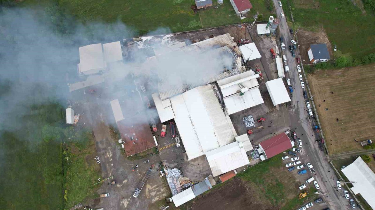 Sakarya’da fındık kırım fabrikasındaki yangın havadan görüntülendi