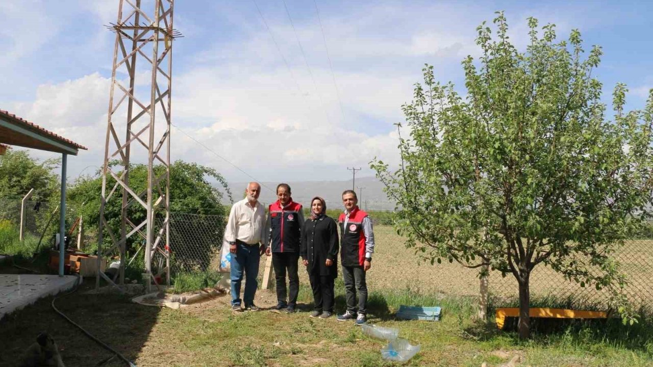 40 binin üzerinde ağaç diken Erzincanlı profesör, kazlarla biyolojik mücadele uyguluyor