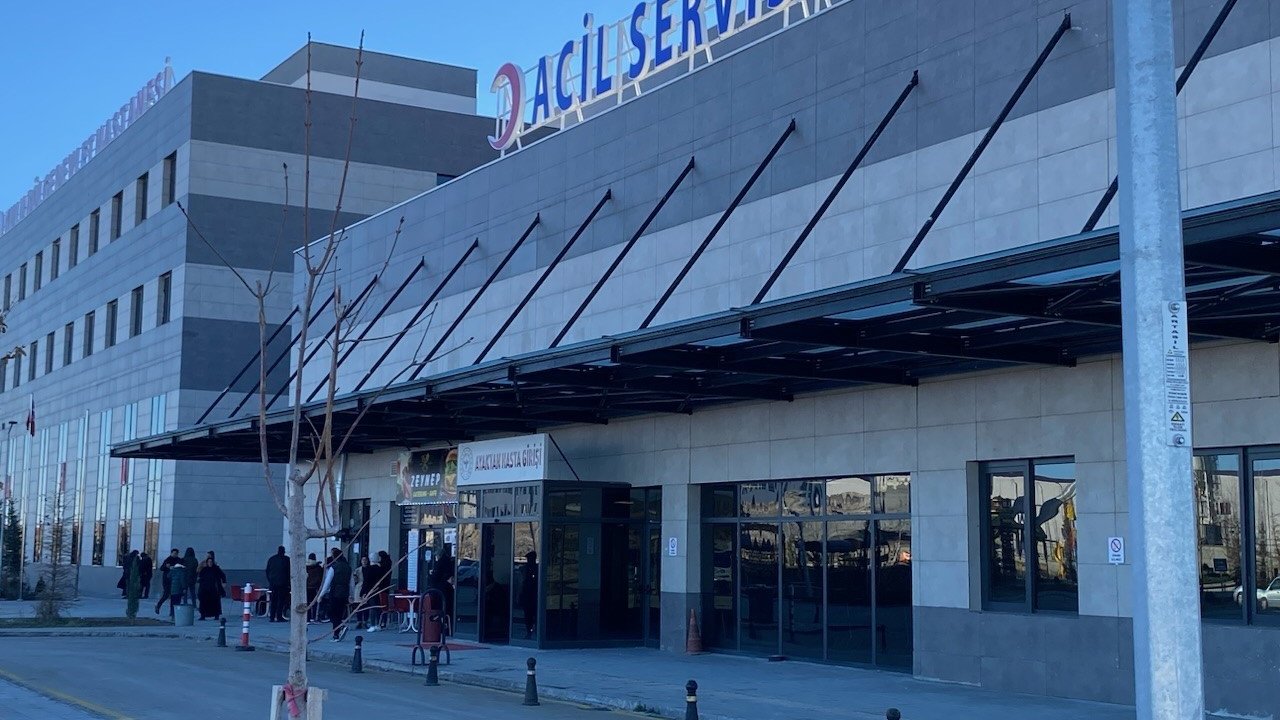 Havyan otlatma kavgası kanlı bitti: 1 yaralı