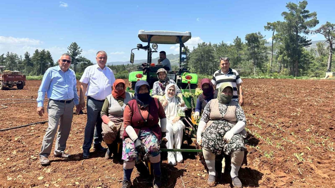 Emekçi kadınlar Anneler Gününü tütün tarlasında kutladı