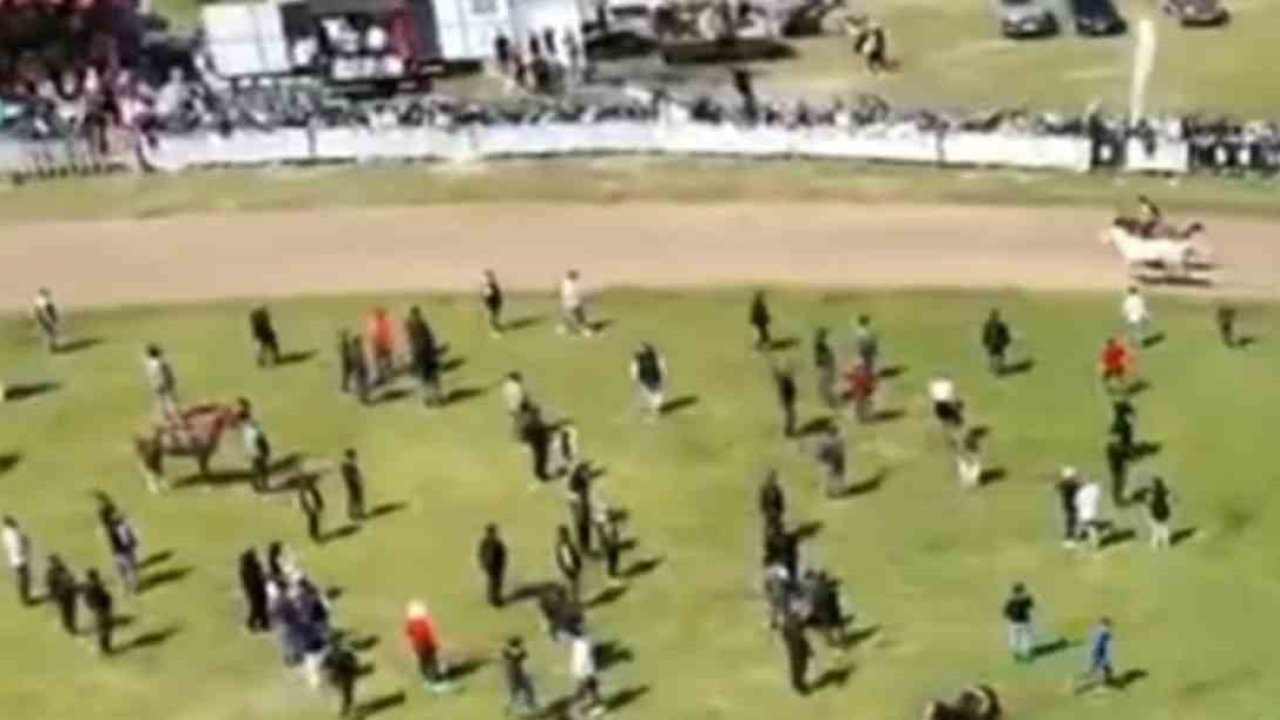 Jokeyi üzerinden attı, yarışa devam etti