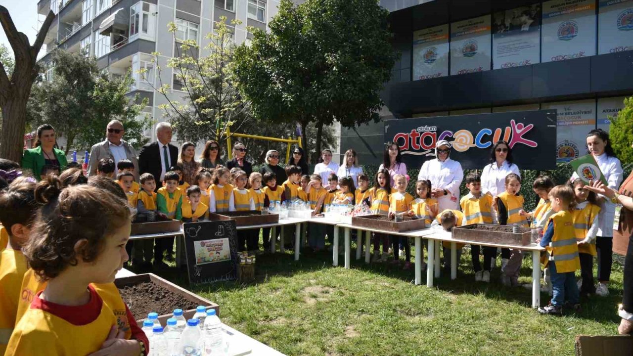Atakumlu minikler, sebze ve meyve tohumlarını toprakla buluşturdu