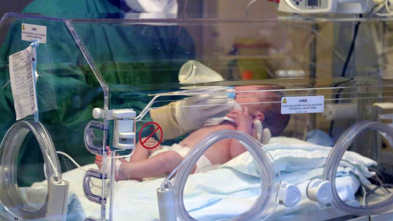 Erzincan’da canlı doğan bebek sayısı 2024 yılında 2 bin 368 oldu