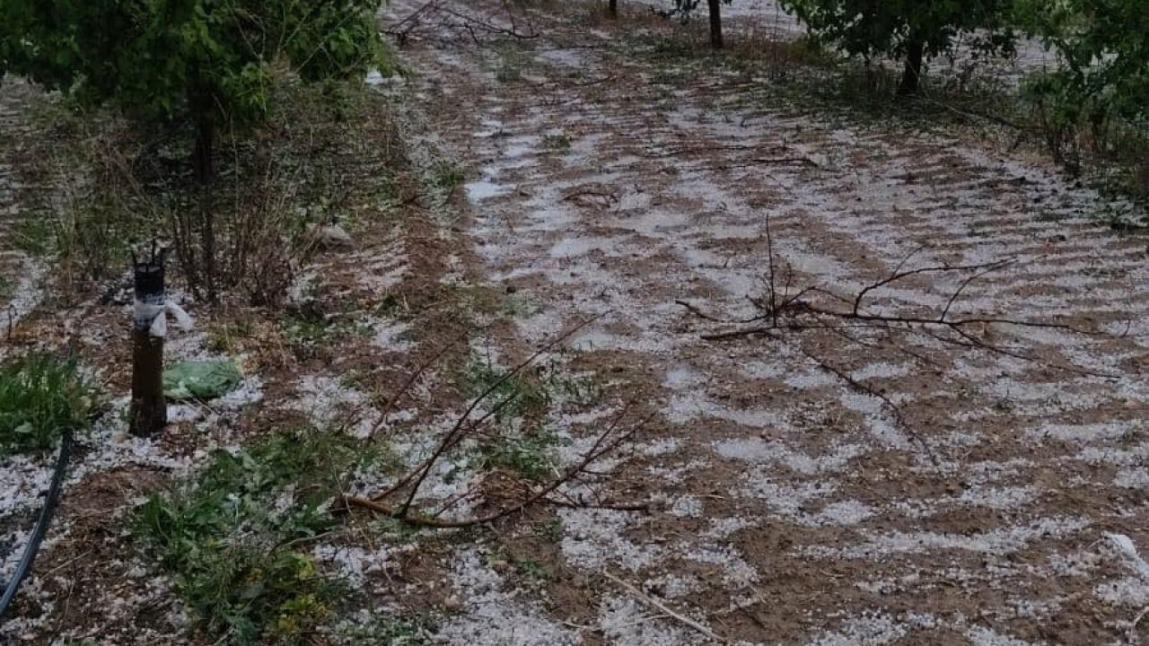 Kurak ilçeye düşen yağmur çiftçiye umut oldu